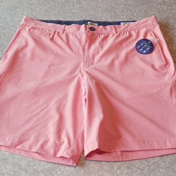 Tailor Bird ~ performance shorts - Picture 2 of 8
